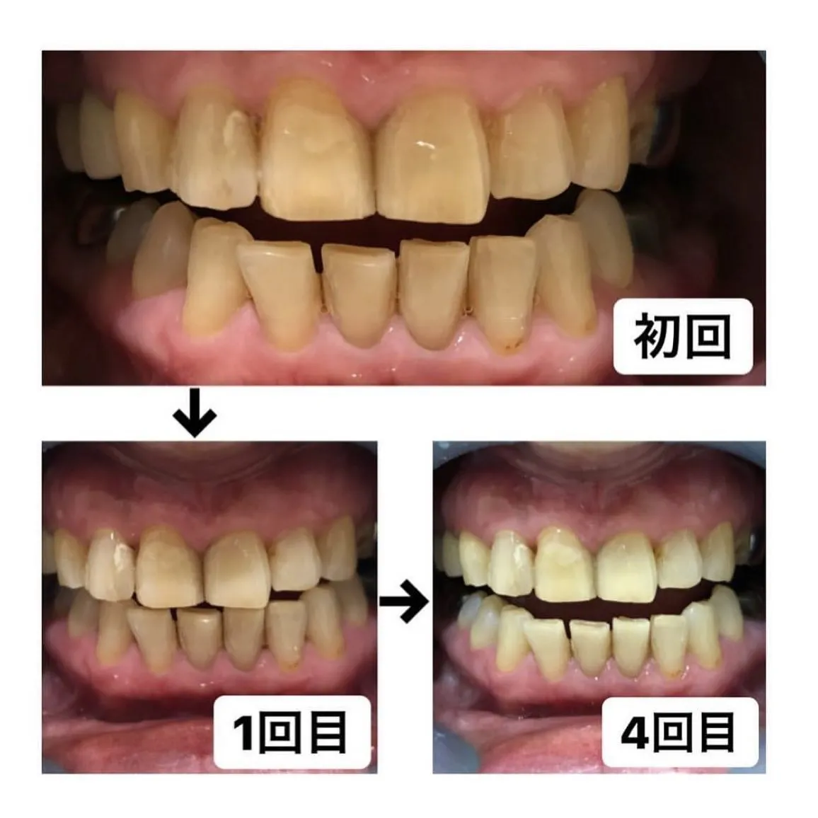 本日は、新しいメニューのご案内です。