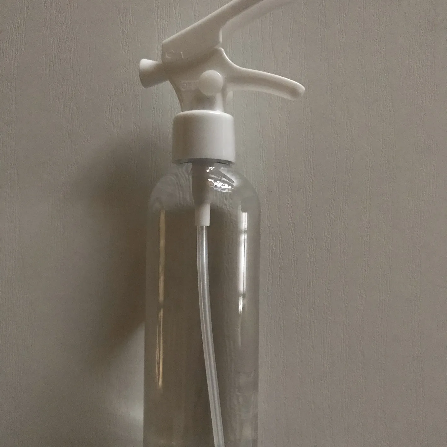 本日は、まつ毛ダニについてです。