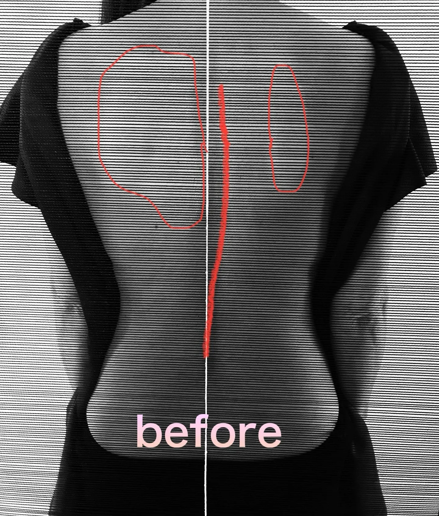 本日のお客様。