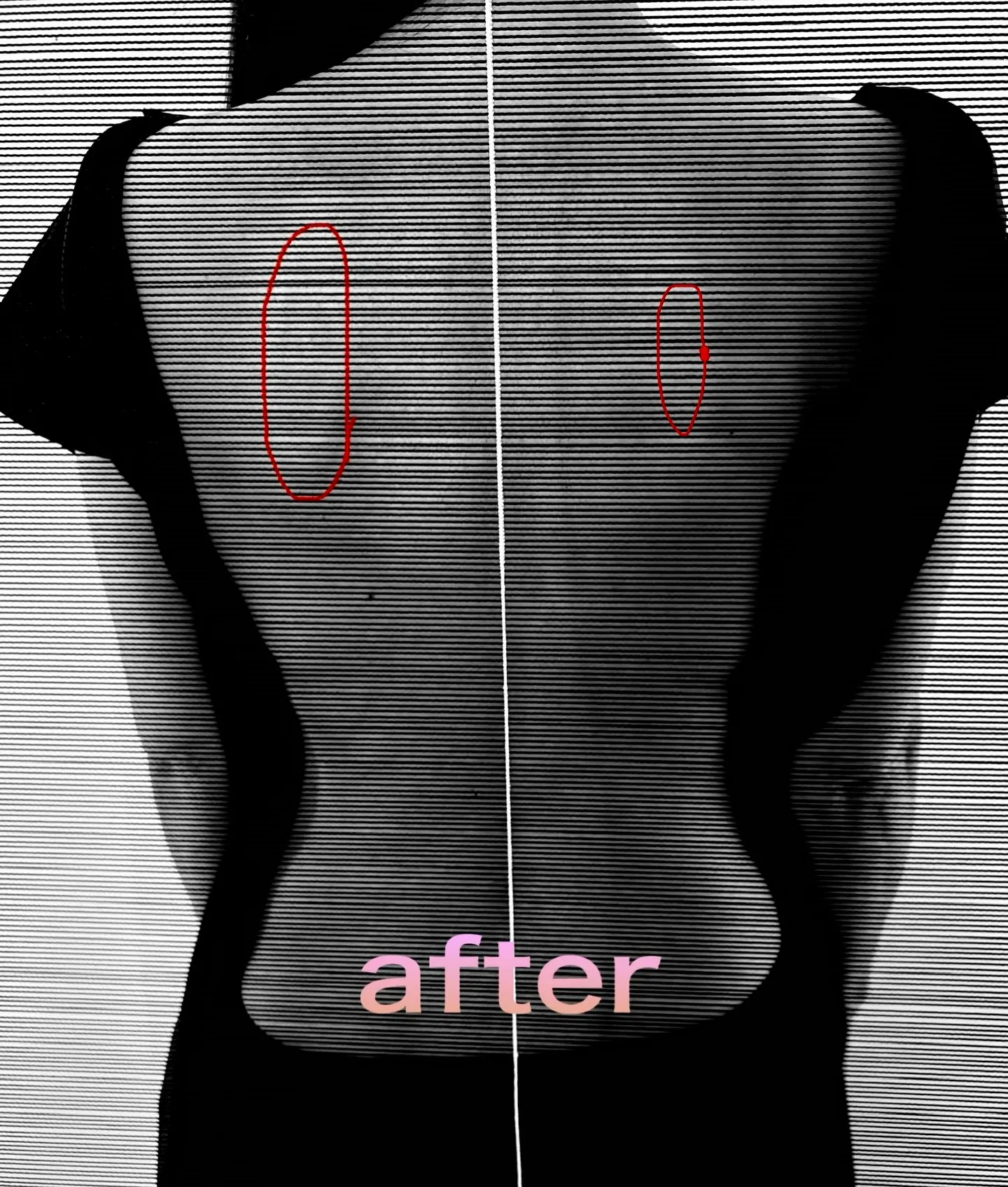 本日のお客様。