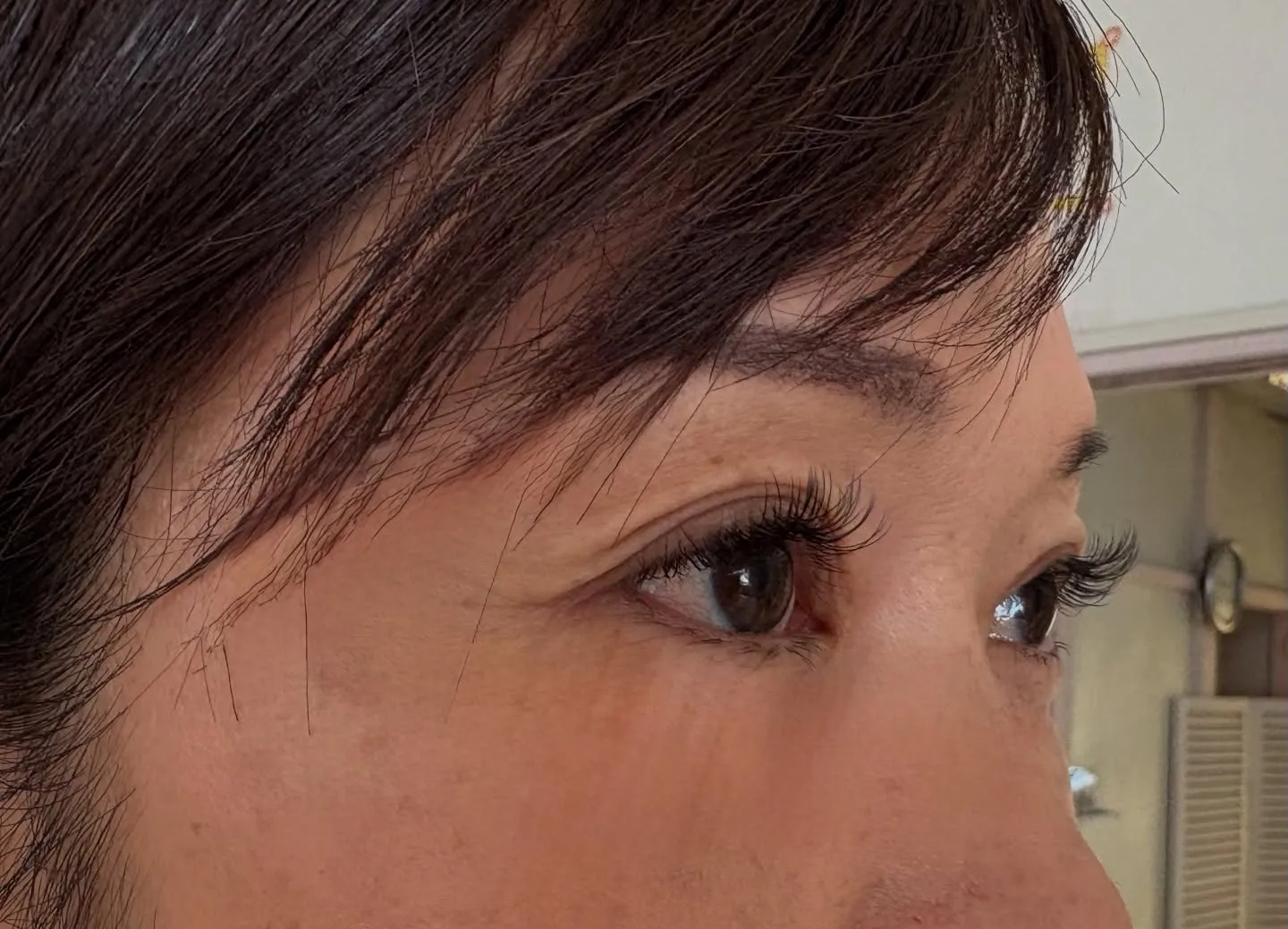 本日のお客様。