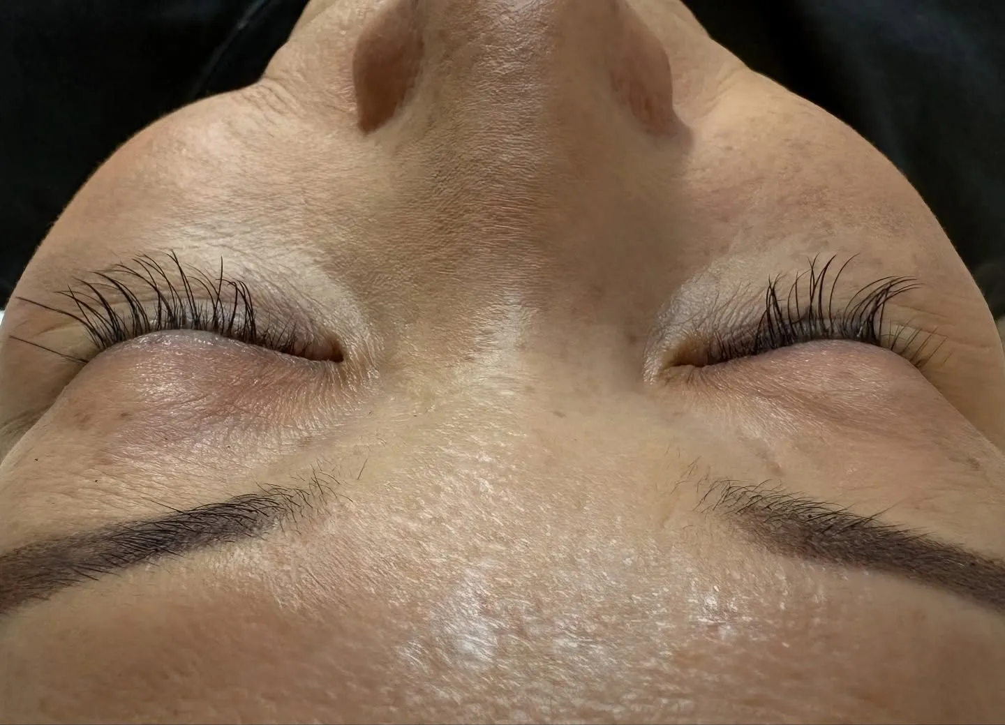 本日のお客様。