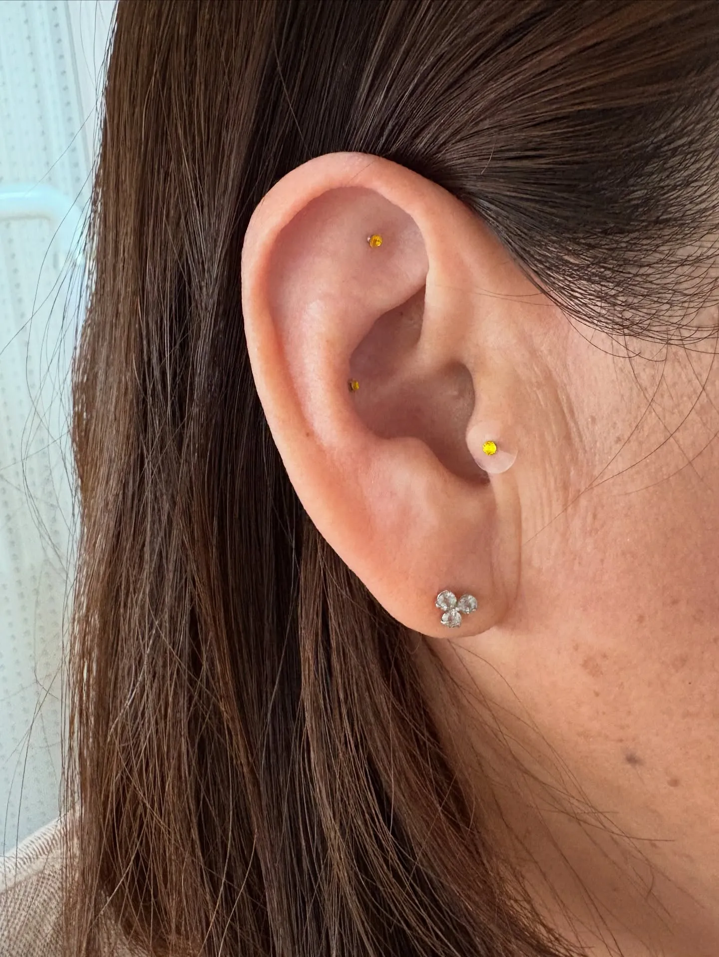 本日のお客様。