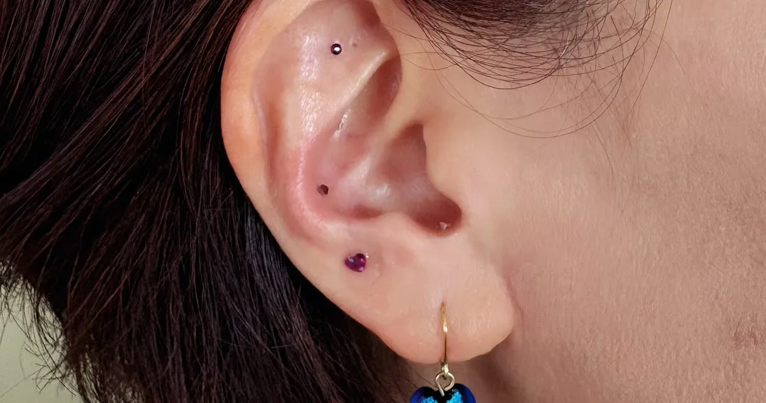 本日のお客様。