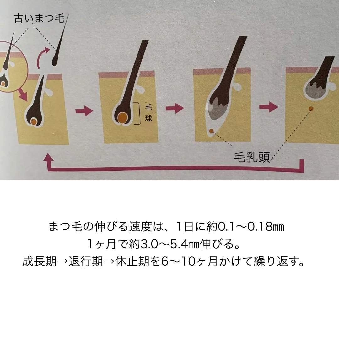 本日は、いよいよ最終回!第四弾をお届けします。