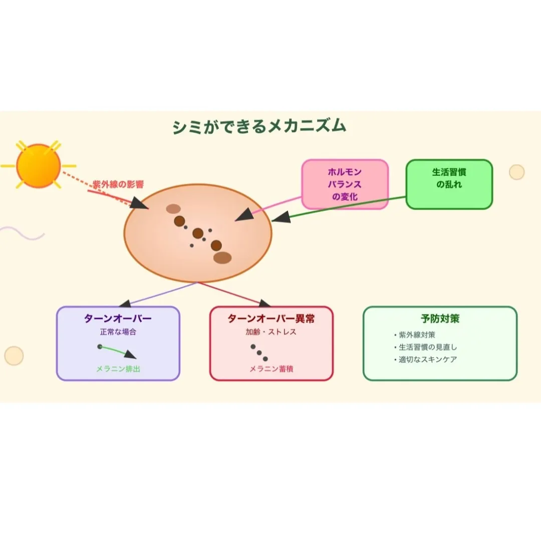本日は、お待たせしました🌞