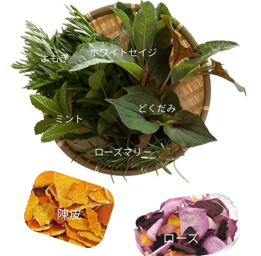 本日は、FMEだけの「温活ハーブスチーム」をご紹介します。