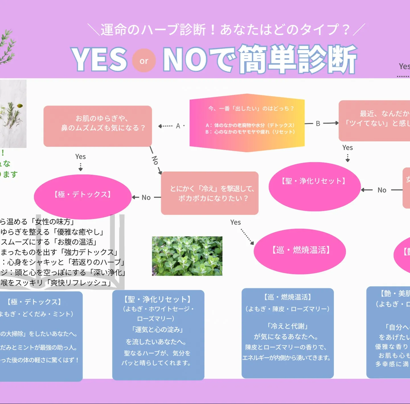 本日は、FMEだけの「温活ハーブスチーム」をご紹介します。