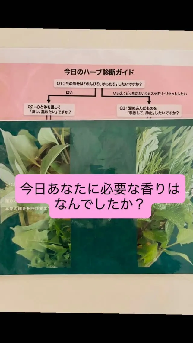 本日は、大人の美肌を育てるインナーケアのお話です。